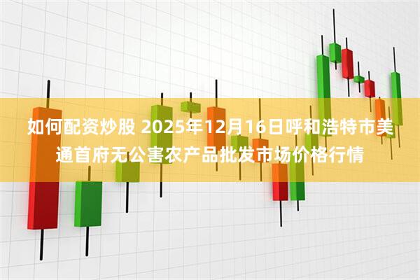 如何配资炒股 2025年12月16日呼和浩特市美通首府无公害农产品批发市场价格行情