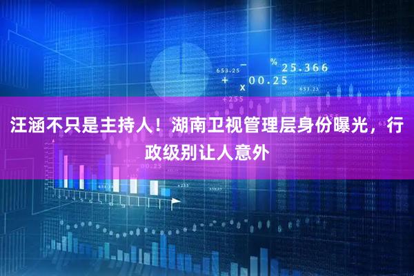 汪涵不只是主持人!湖南卫视管理层身份曝光,行政级别让人意外